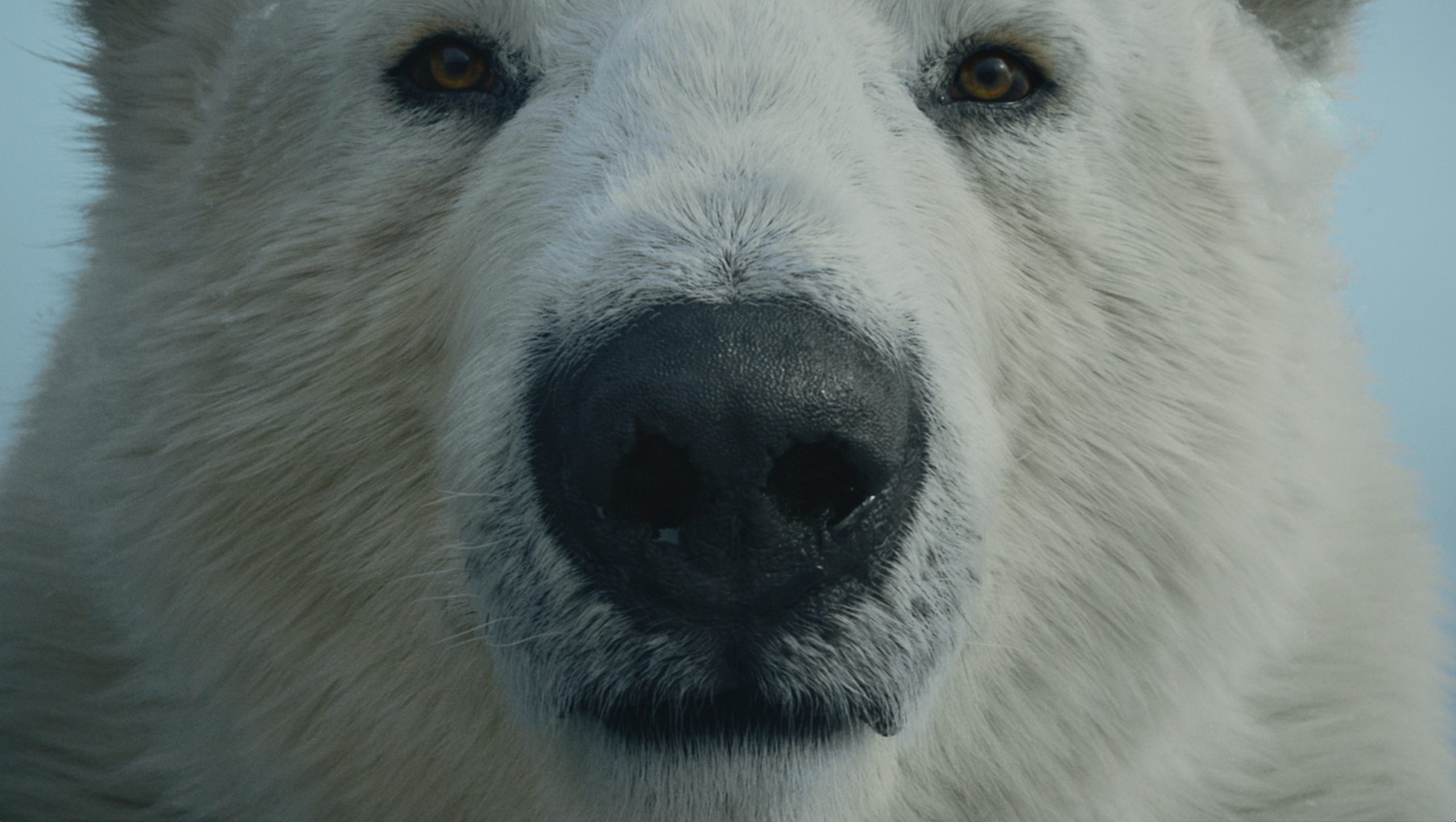 ↘ WICK ● THE EPIC BREATH